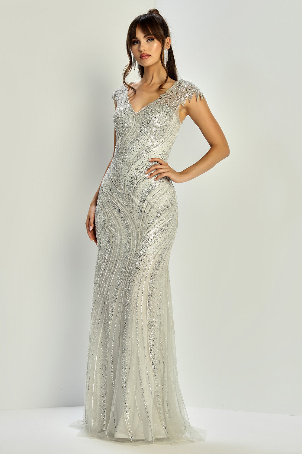 Plus Size Dresses Sequin Beaded Long Formal Plus Size Dress Silver/Silver