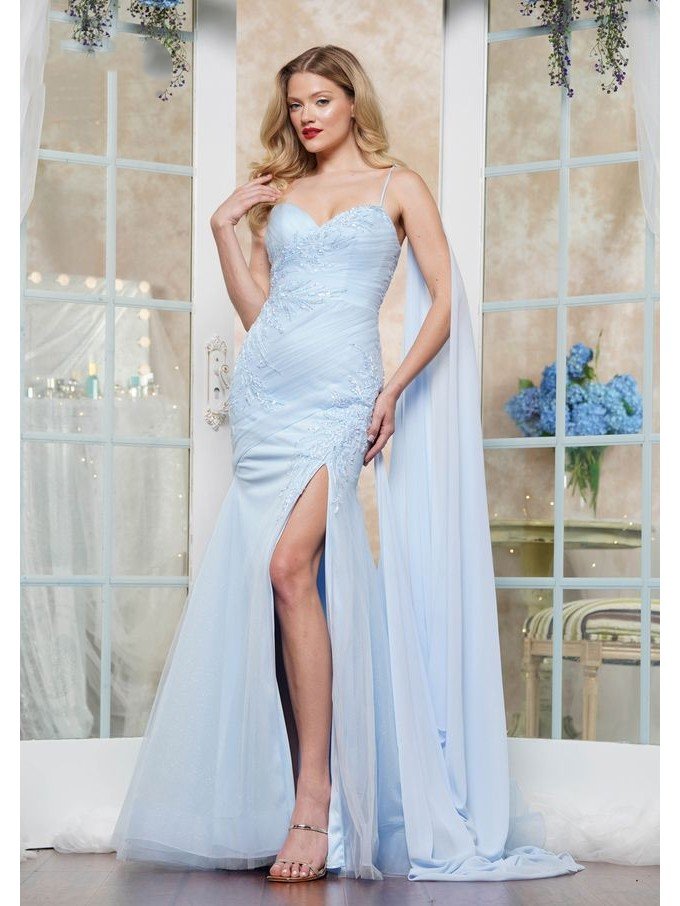 Prom Dresses Formal Fitted Long Evening Prom Dress Light Blue