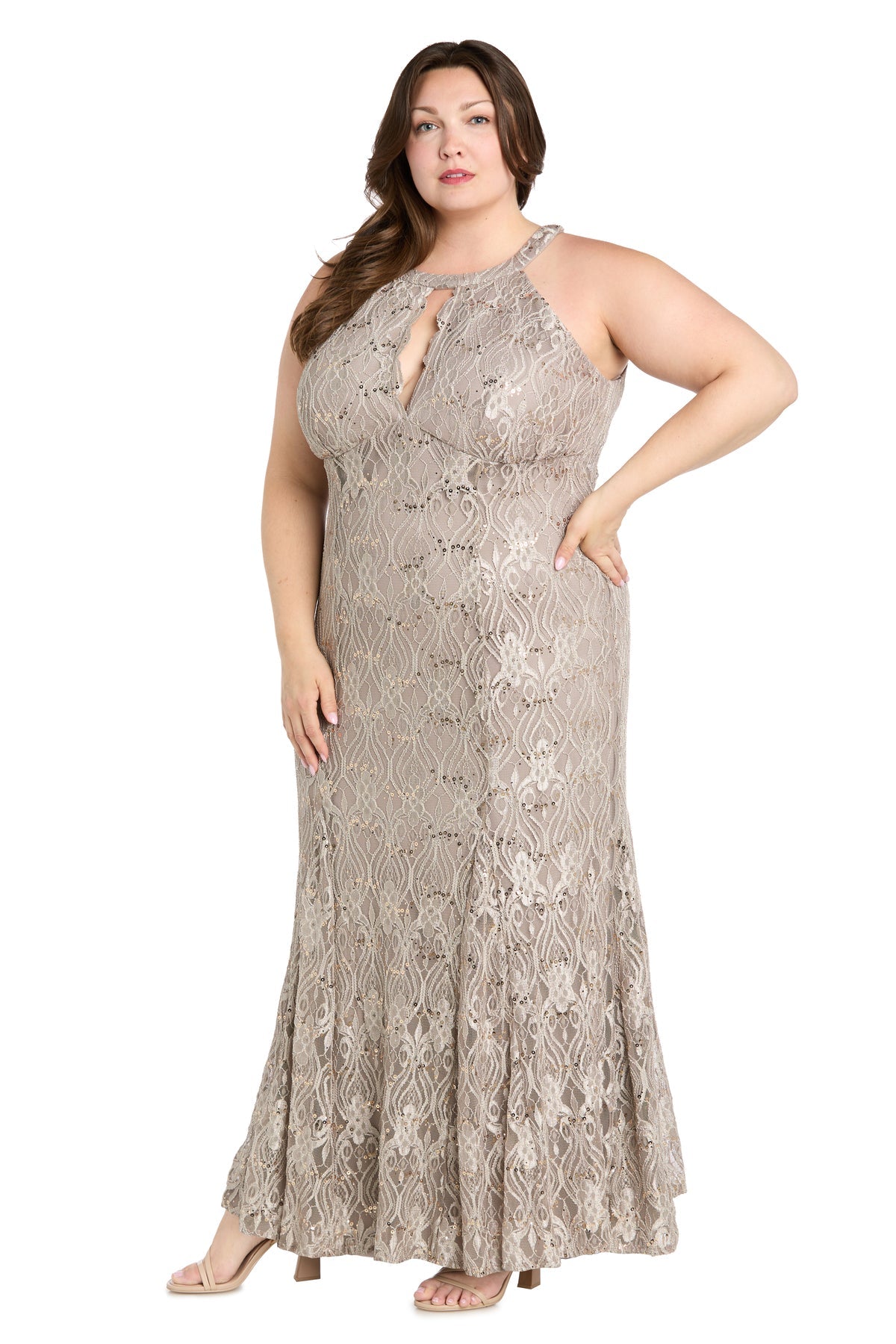 R&M Richards 3495W Formal Long Fitted Plus Size Lace Dress