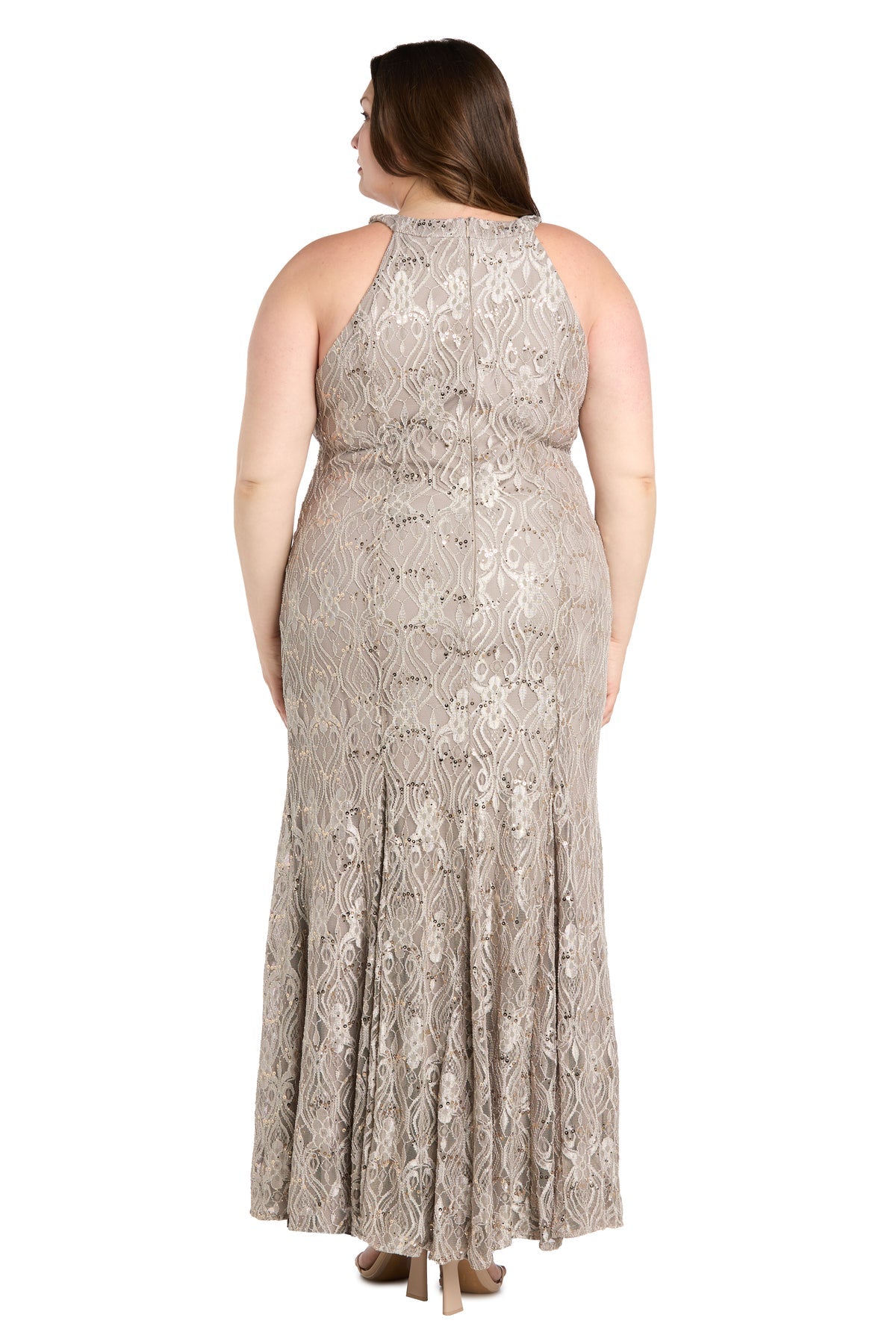 R&M Richards 3495W Formal Long Fitted Plus Size Lace Dress