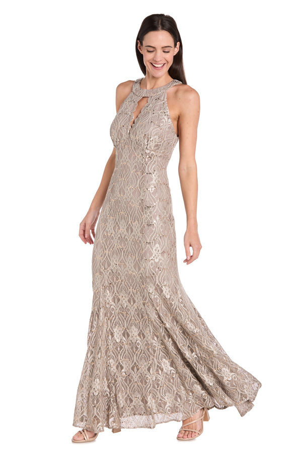 Petite Lace Dress Fitted Long Formal R&M Richards 3495P
