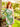 Homecoming Dresses Sexy Prom Short Fitted Dress Sage Green
