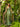 Prom Dresses Long Asymmetrical High Slit Prom Dress Sage Green