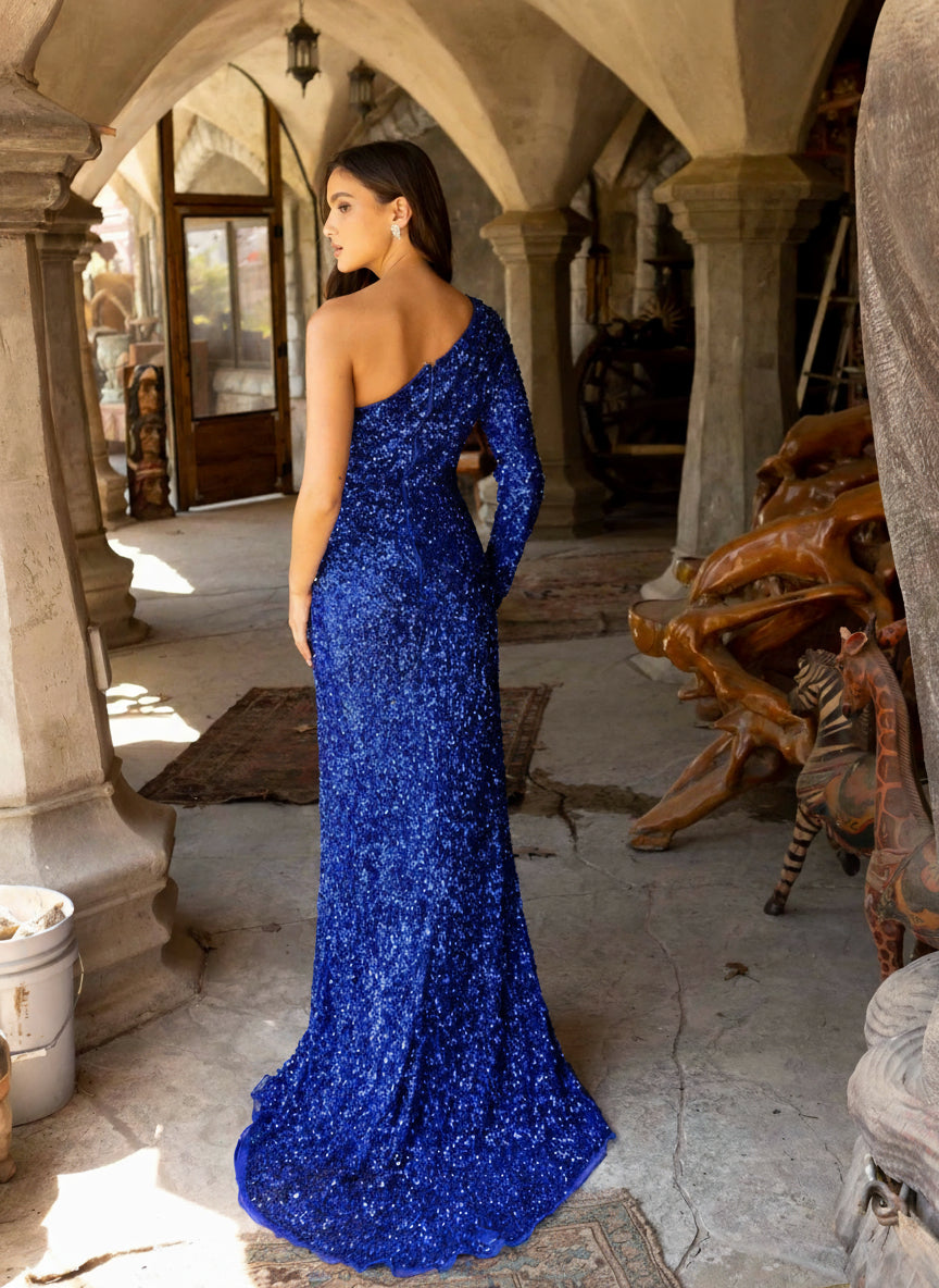 Prom Dresses One Side Long Sleeve Long Prom Dress Royal Blue