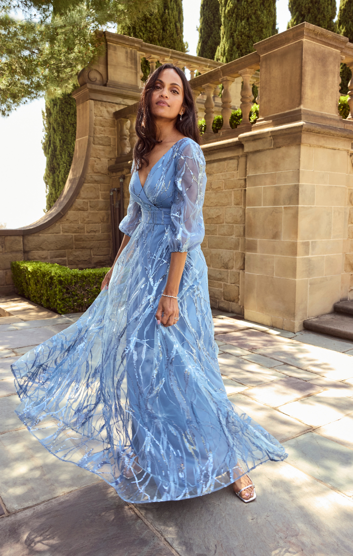 Sky Blue V-Neck Floor-Length Embroidered Tulle Formal Dress with Sheer Sleeves Plus Size Alex Evenings 84171946