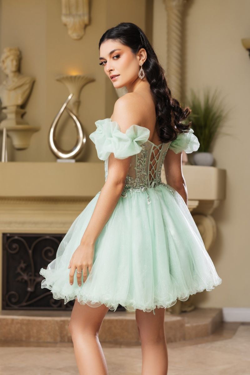 Off-the-Shoulder Mini/Short Tulle Cocktail A-Line May Queen 2164
