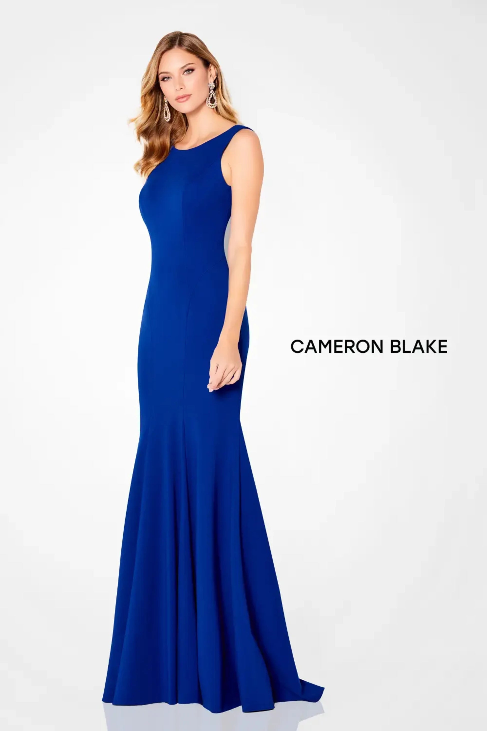 Cameron Blake 220635 Fitted Long Formal Evening Dress