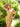 Homecoming Dresses Fitted Short Sparkling Homecoming Dress GOLD