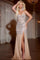 Prom Dresses Fitted Long Formal Corset Evening Prom Dress Nude/Silver