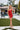 Cocktail Dresses Short Cocktail Sequin Dress Red