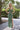 Prom Dresses Formal Long Slit Prom Sequin Dress Sage Green