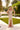 Prom Dresses Formal Long Beaded Applique Prom Dress Nude