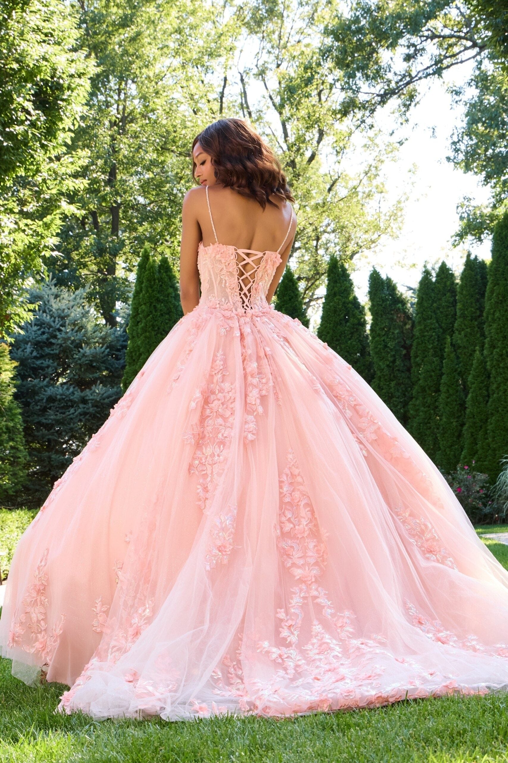 Quinceniera Dresses Long Ball Gown Floral Quinceanera Dress Blush