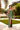 Prom Dresses Beaded Long Sequin Formal Prom Dress Emerald