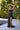 Prom Dresses Beaded Long Slit Formal Prom Sequin Dress Black
