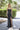 Prom Dresses Beaded Long Formal Prom Dress Black