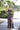 Prom Dresses Fitted Long Prom Formal Evening Dress Black Multi