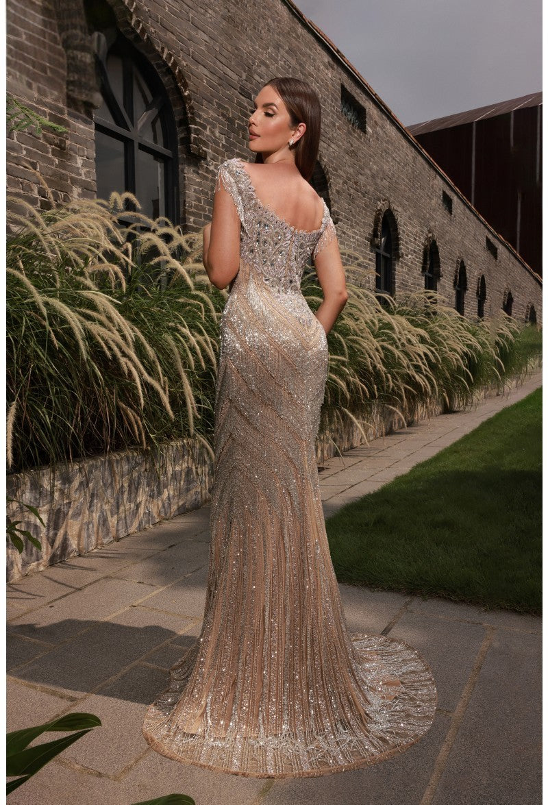 Formal Dresses Fitted Formal Evening Long Dress Silver Nude