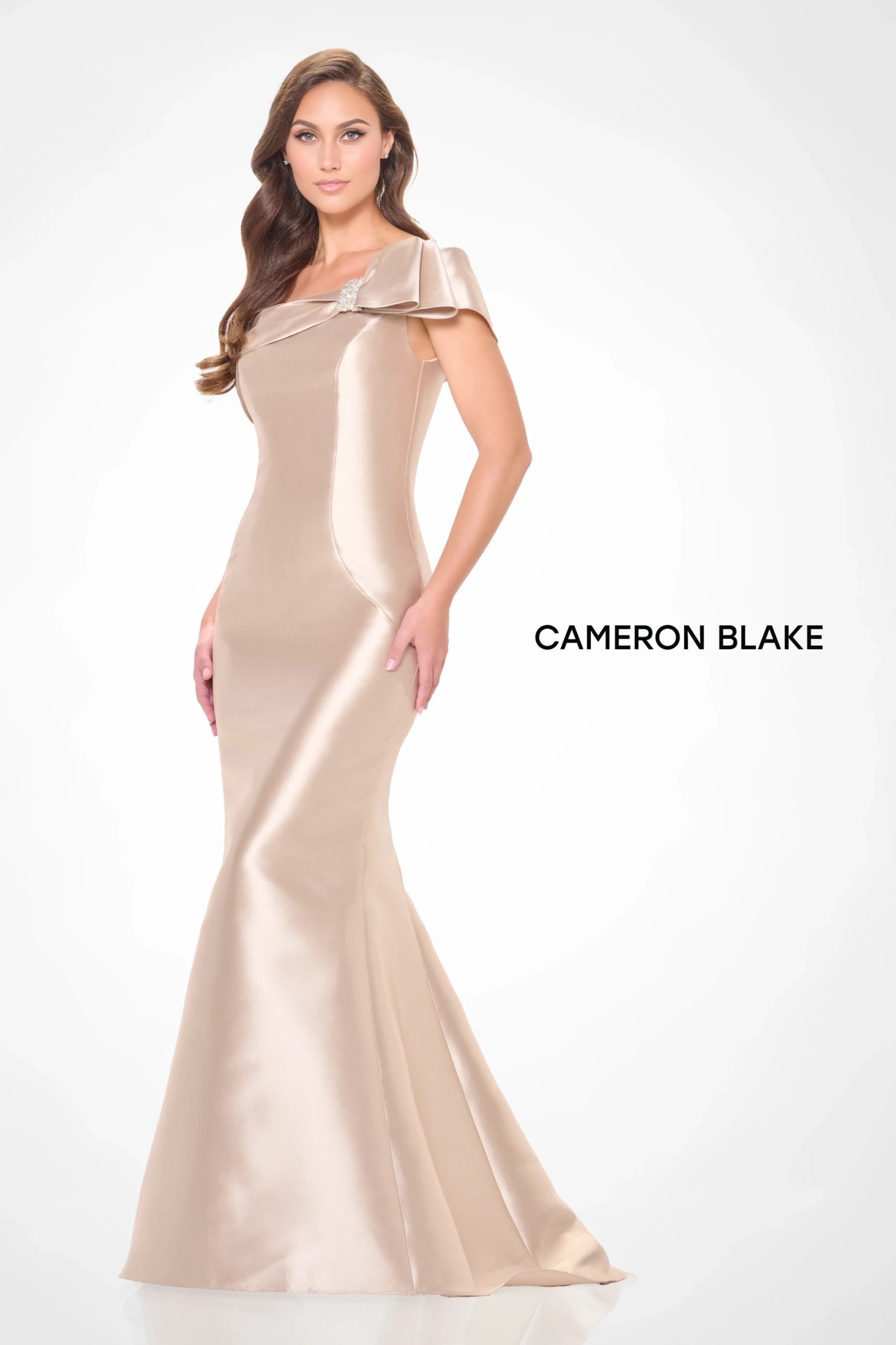 Formal Dresses Long Formal Beaded Evening Dress Champagne