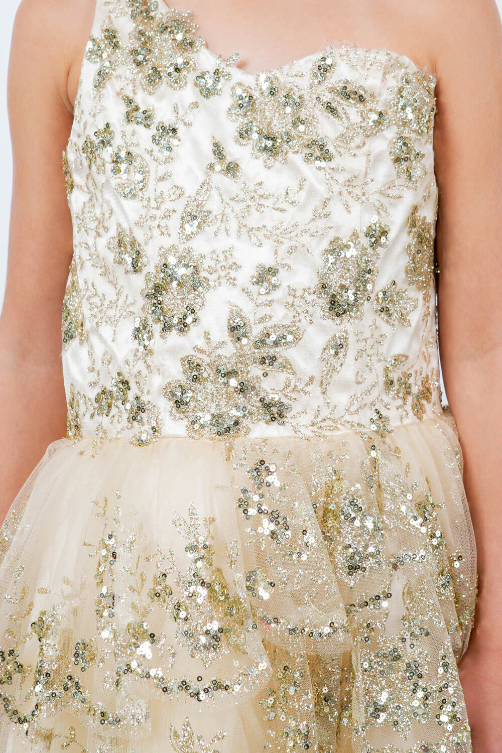 Champagne One Shoulder Knee Length Tulle Special Occasion Dress with Glitter Floral Layered Skirt Cinderella Couture 5132