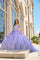 Quinceniera Dresses Floral Glitter Long Ball Gown Quinceanera Dress Lilac