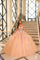 Quinceniera Dresses Long 3D Floral Ball Gown Quinceanera Dress Champagne/Multi
