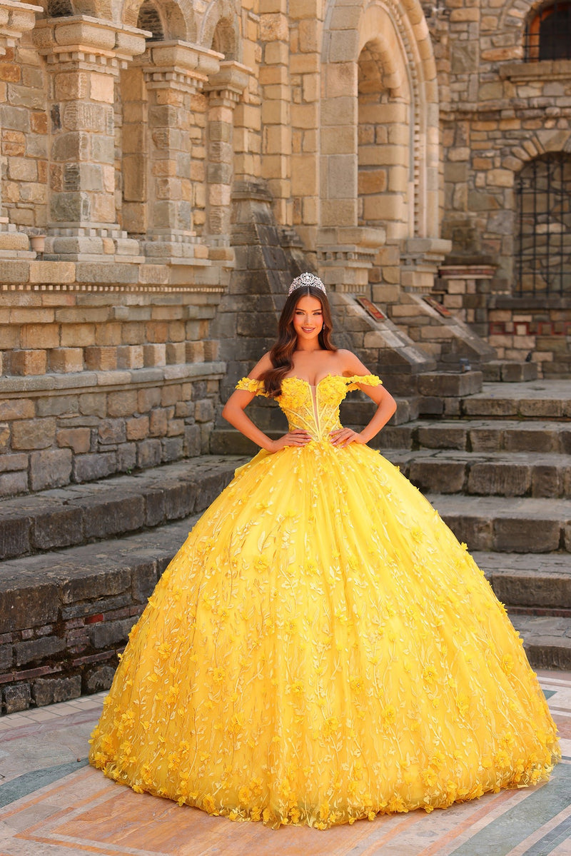 Quinceanera Dresses Long Ball Gown 3D Applique Quinceanera Dress Yellow