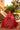 Quinceniera Dresses Beaded Long Lace Ball Gown Quinceanera Dress Wine/Gold