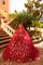 Quinceniera Dresses Beaded Long Lace Ball Gown Quinceanera Dress Wine/Gold