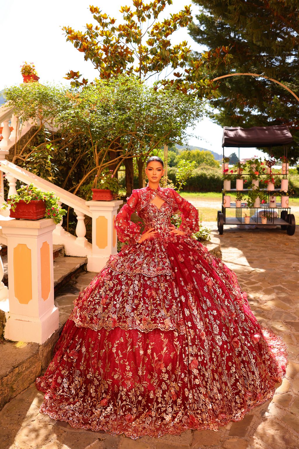 Quinceniera Dresses Long Glitter Print Ball Gown Quinceanera Wine/Gold