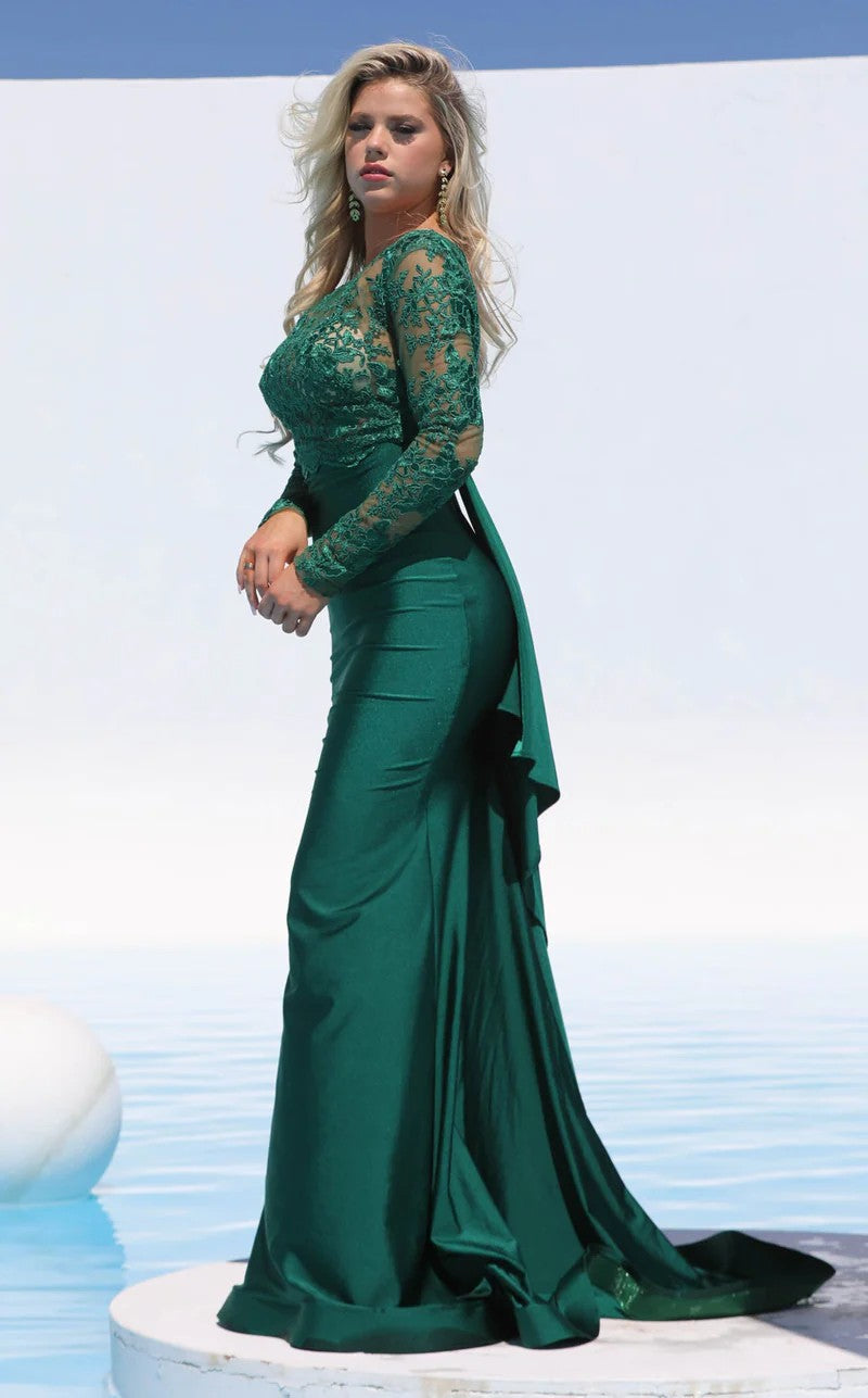 Formal Dresses Long Sleeve Lace Formal Fitted Evening  Dress Hunter