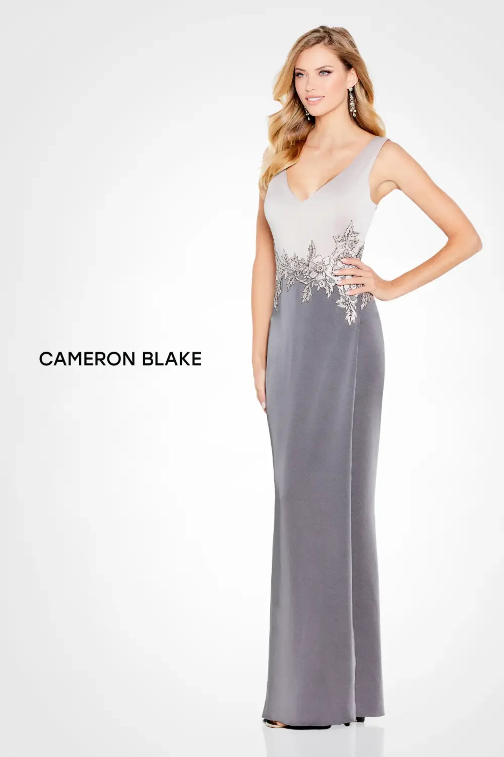 Formal Dresses Fitted Long Formal Lace Applique Evening Gown Light Mink/Charcoal