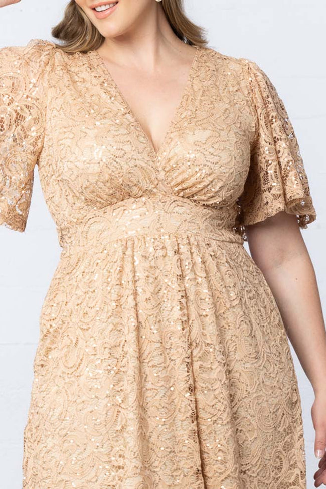 Plus Size Dresses A Line Plus Size Lace Short Cocktail Dress Champagne