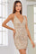 Homecoming Dresses Short Sequin Mini Homecoming Dress Stardust