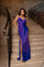 Prom Dresses Fitted Long Formal Ombre Prom Dress Royal Ombre