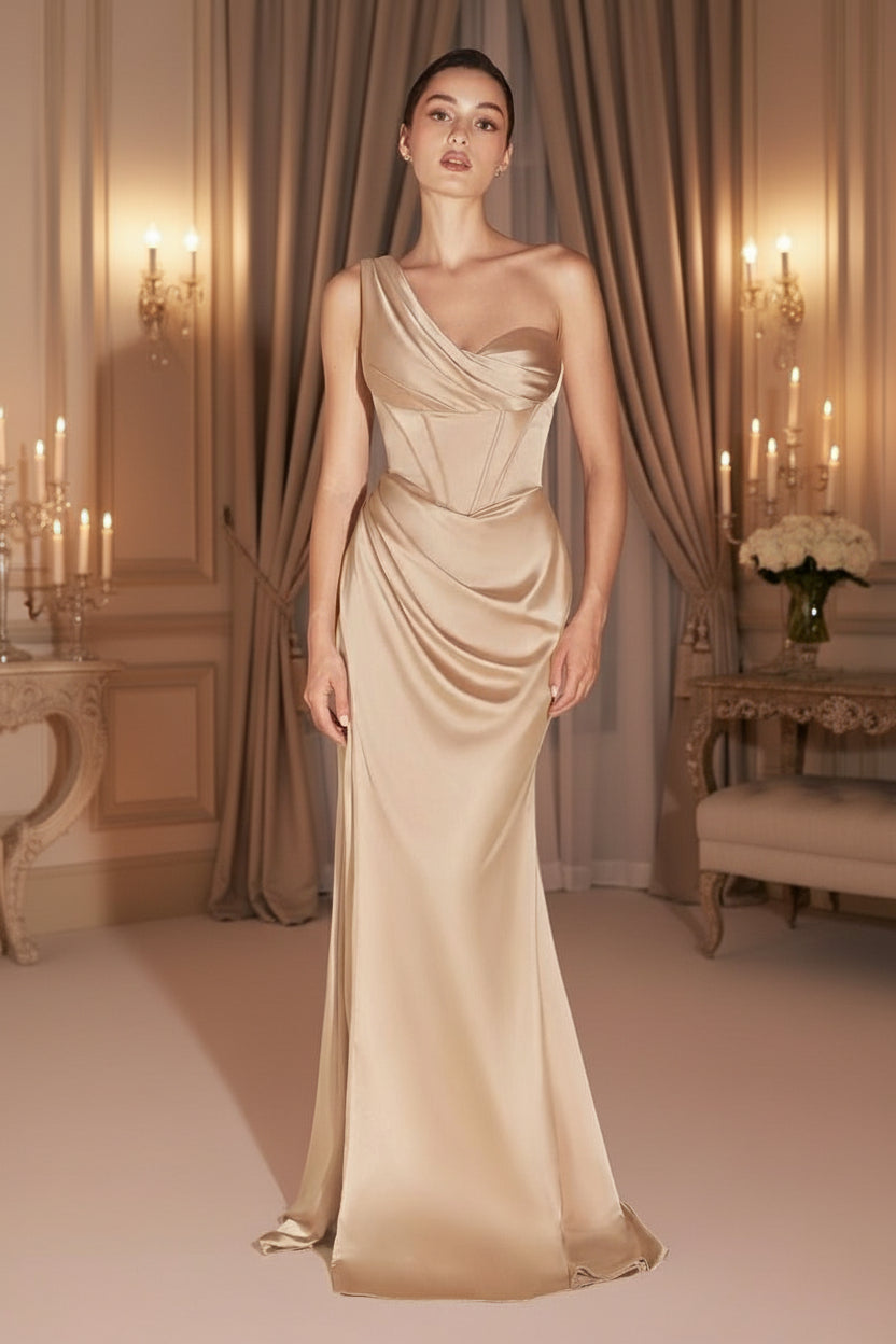 Prom Dresses Long Fitted Corset Formal Prom Dress Champagne