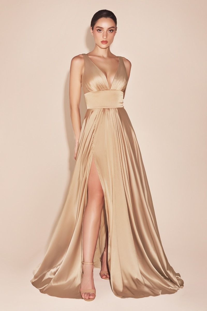 Prom Dresses Long Prom Dress Evening Gown Champagne Gold
