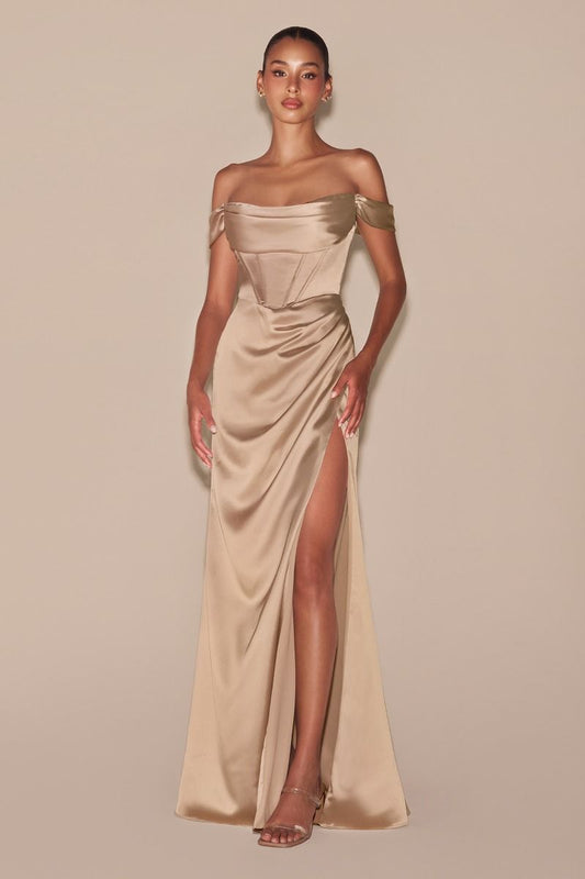 Prom Dresses Plus Size Long Off Shoulder Evening Gown Champagne