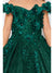 Bliss Big Girls Hunter Green 10 3D Floral Applique Ball Gown Sale