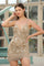 Homecoming Dresses Homecoming Short Sequin Fringe Cocktail Dress Champagne