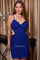 Homecoming Dresses Short Homecoming Beaded Sequin Cocktail Dress Royal