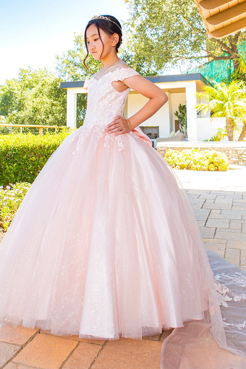 Flower Girl Dresses Long Ball Gown Sequin Flower Girl Dress Blush