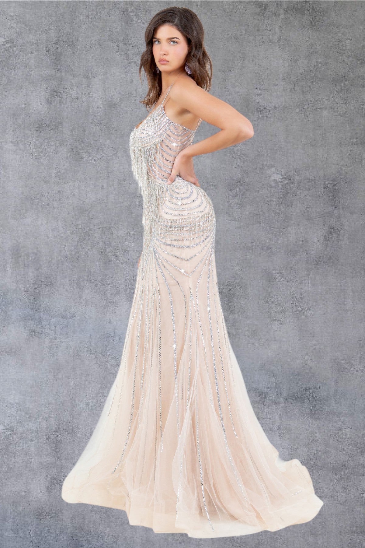 Cinderella Couture 8192J Beaded Long Lace Formal Prom Dress