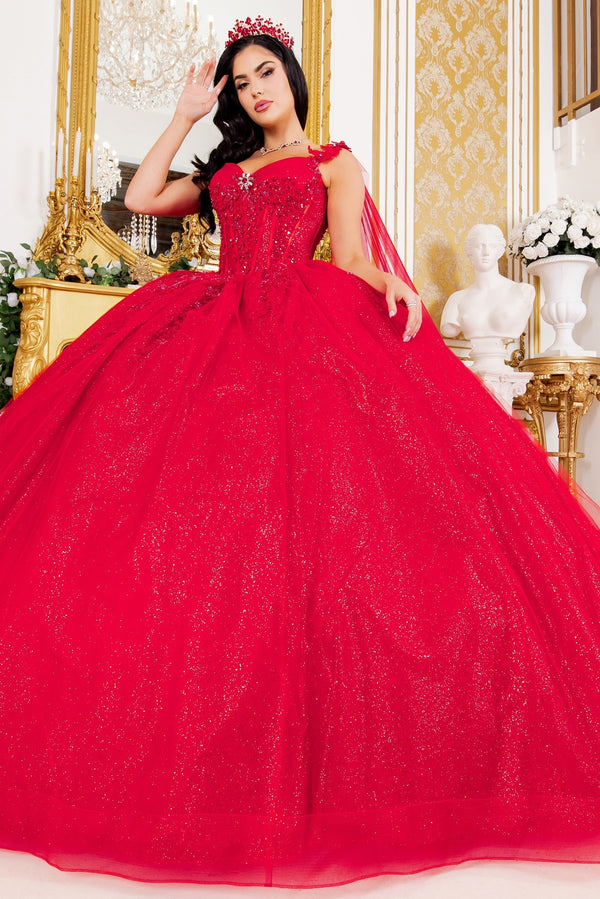 Floral Sequin Ball Gown Quinceanera Dress Cinderella Couture 8270J