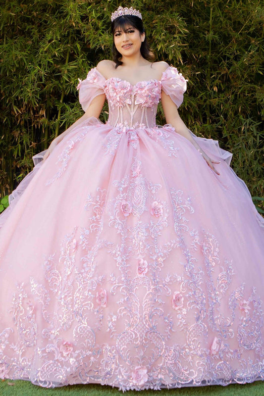 Quinceniera Dresses Long Ball Gown 3D Floral Quinceanera Dress Blush