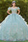 Quinceniera Dresses Long Ball Gown 3D Floral Quinceanera Dress Sage