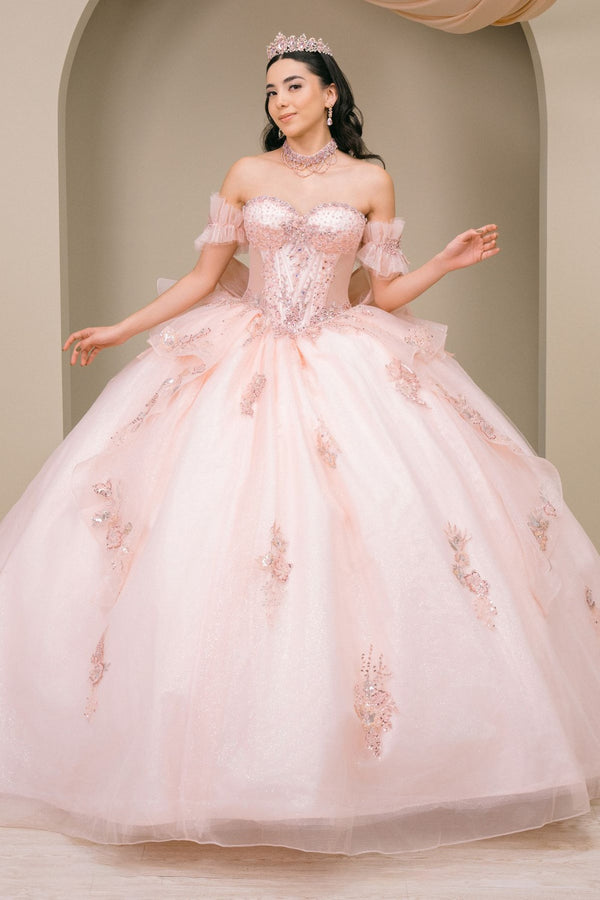Floral Applique Long Corset Beaded Quinceanera Dress Cinderella Couture 8540JQ