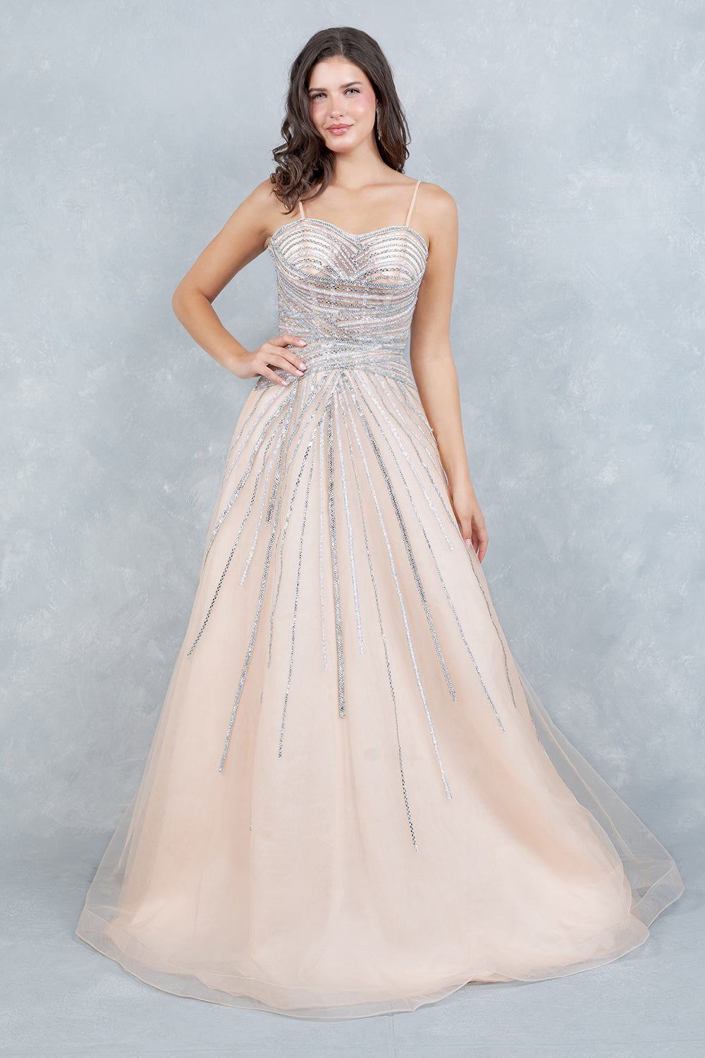 Prom Dresses Long Formal Beaded A Line Evening Prom Dress Cinderella Couture 8569J Champagne