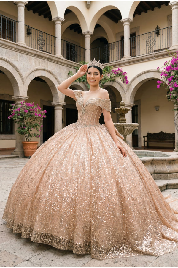 rose gold cinderella dress Cinderella Divine 9243 Dress