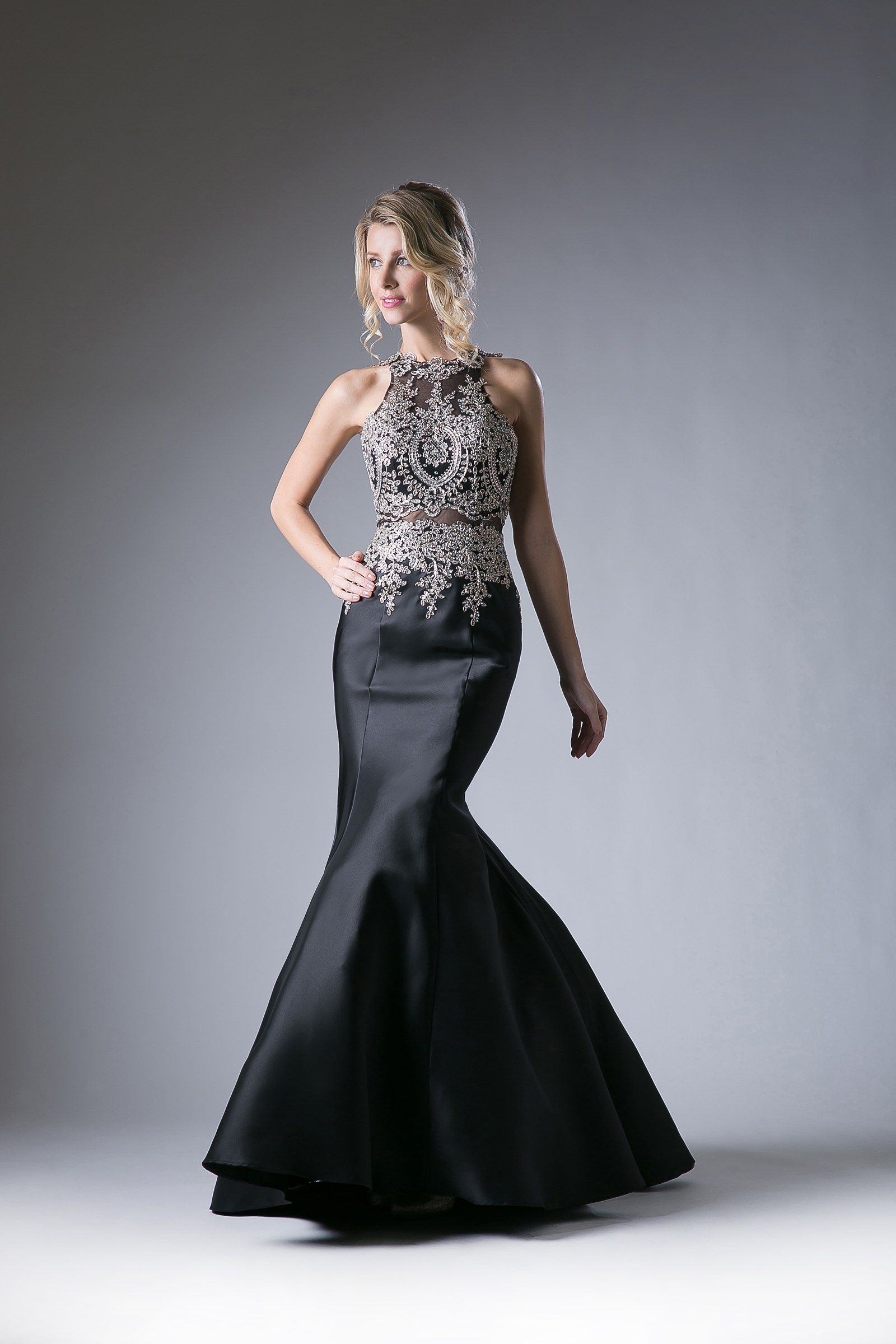 Prom Dresses Mermaid Lace Long Formal Fitted Evening Prom Dress Black